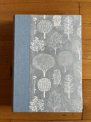 Carnet de notes A5 bleu ciel n°3