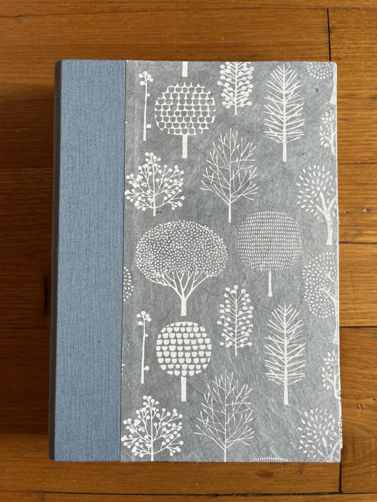 Carnet de notes A5 bleu ciel n°3