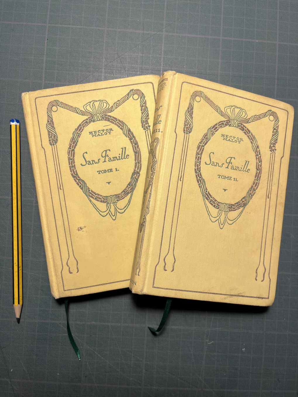 Hector MALOT - Sans famille, tome 1, livre surcyclé