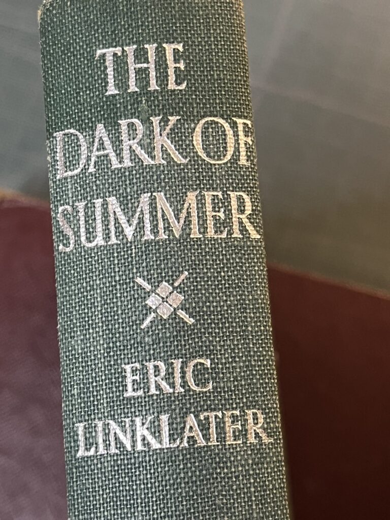 Eric LINKLATER - The Dark of Summer, livre surcyclé